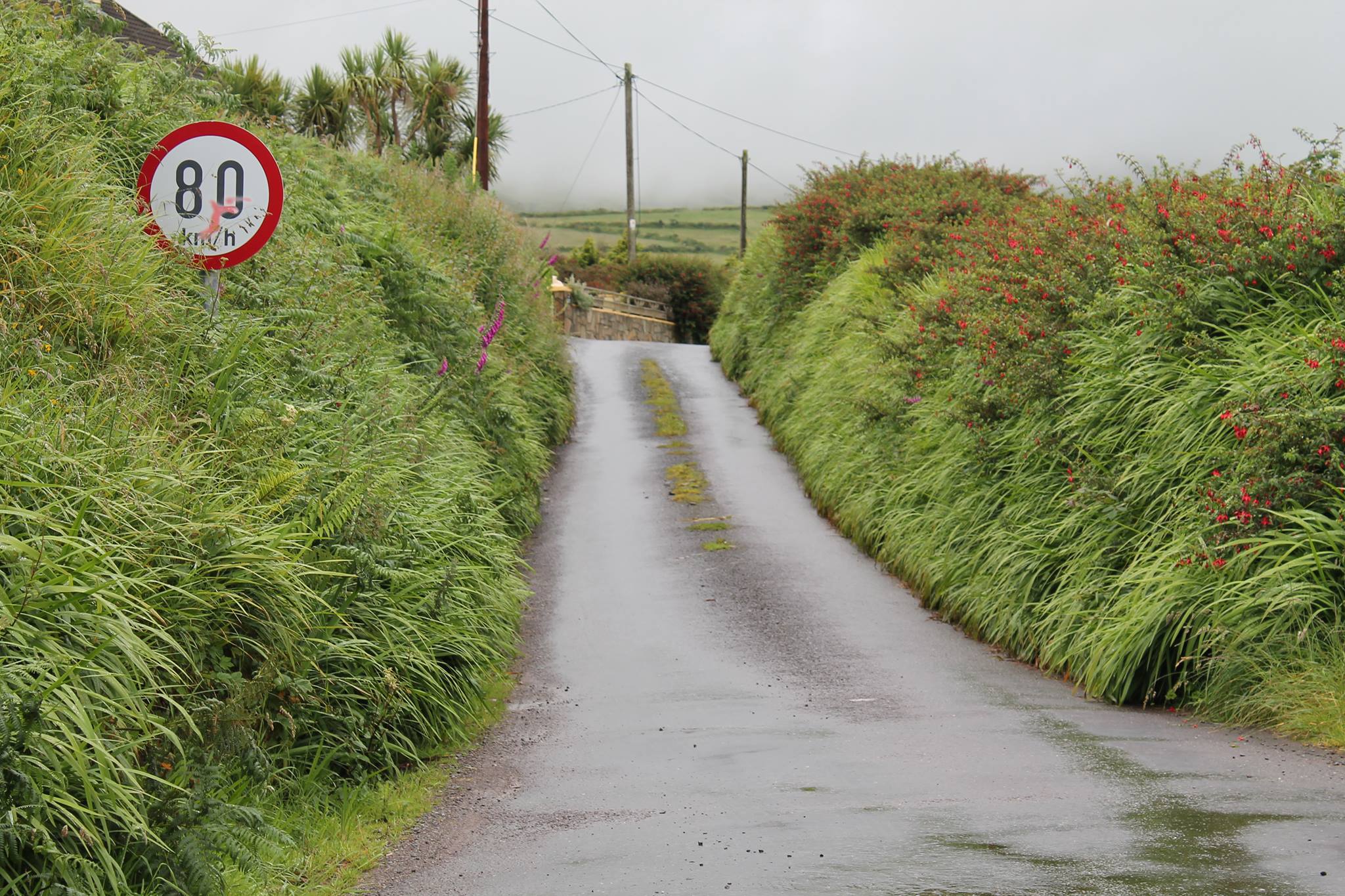 Road in Ireland