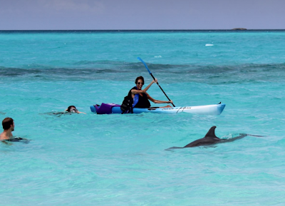 Kayaking with a dolphin