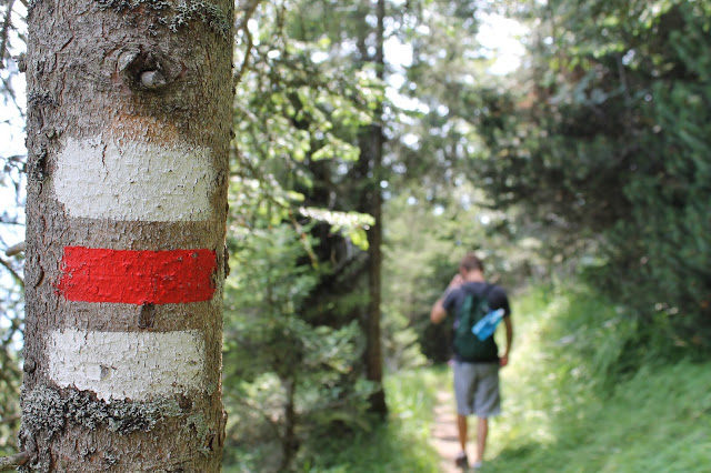 trail marker and hiker in the alps